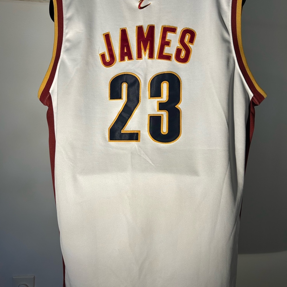 LeBron James Mitchell & Ness Hardwood Classics Jersey